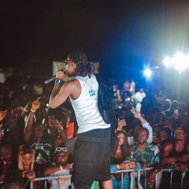 Live Performances